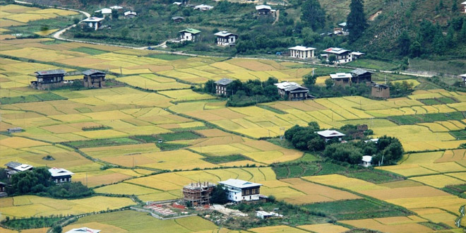 butan