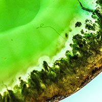 ThetaHealing® – put prema unutarnjoj jasnoći, iscjeljenju i osobnoj transformaciji