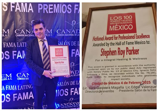 stephen i diplome